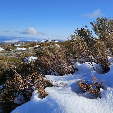 Memorias Da Serra - Chale Serra Da Estrela * Penhas da Saude