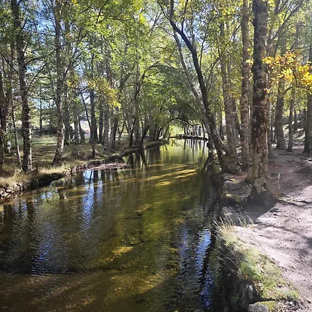 木屋 Memorias Da Serra - Chale Serra Da Estrela Penhas Da Saude
