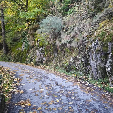 Chalé Memórias Da Serra - Serra Da Estrela *