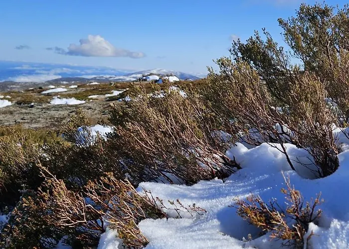 Memorias Da Serra - Chale Serra Da Estrela Penhas Da Saude * Cortes do Meio